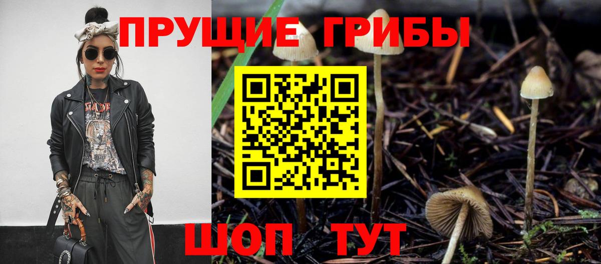 Галлюциногенные грибы прущие грибы Зерноград